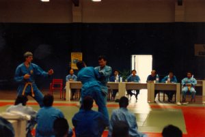 gara Viet Vo Dao Verona 1992